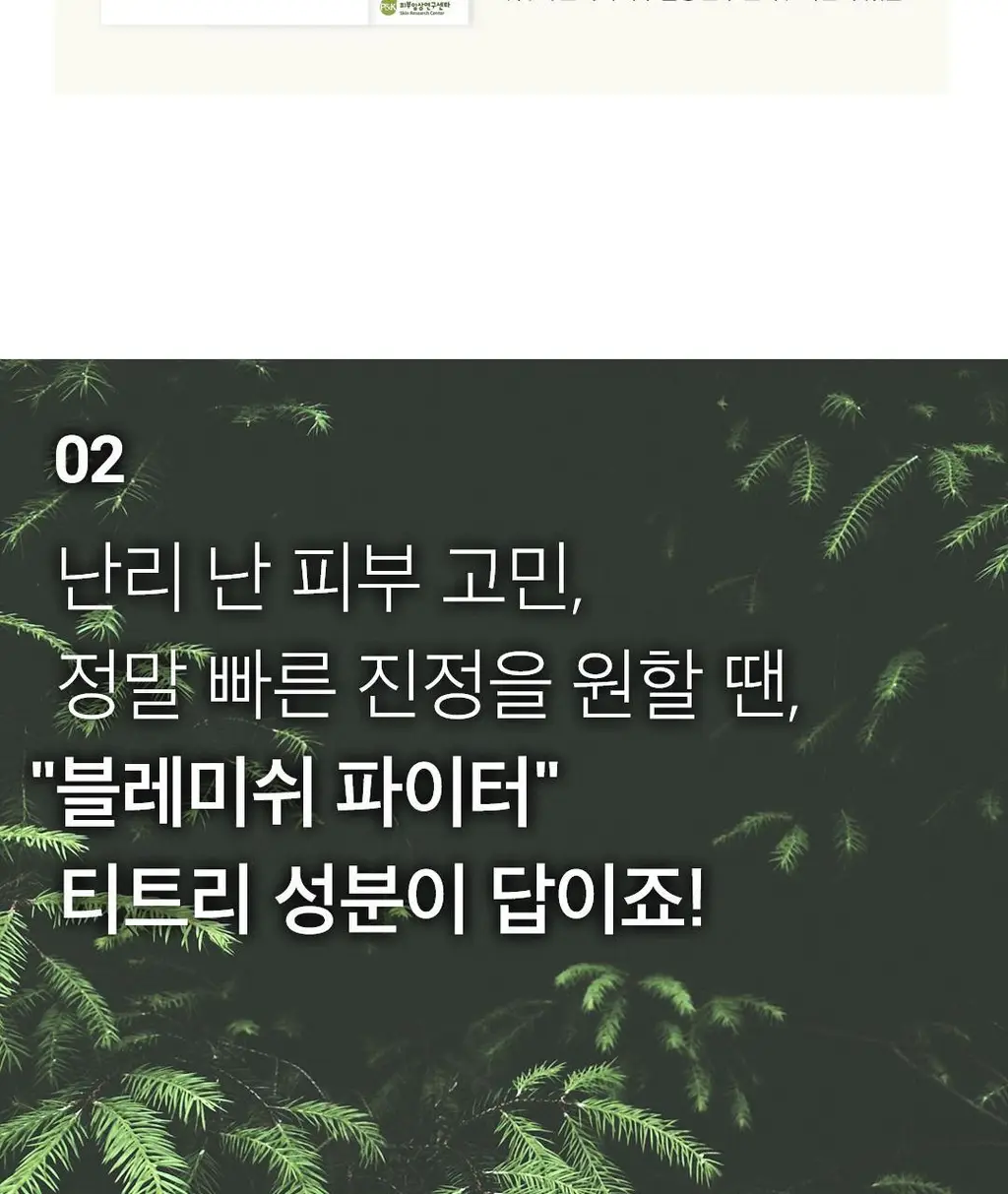[데일리루틴/말끔정화] 아리얼 세븐데이즈 마스크 티트리 M 1매 상세페이지 14